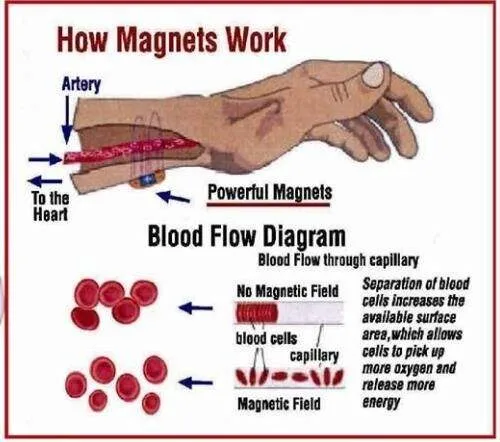Stainless Steel Magnetic Bracelets