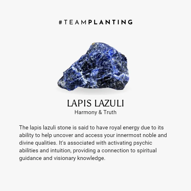 Wisdom Tree Lapis Lazuli Heart Bracelet